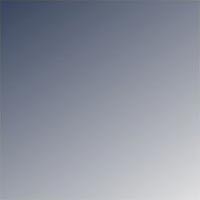MIMO Optique Couleur Gris / Frene Bleu